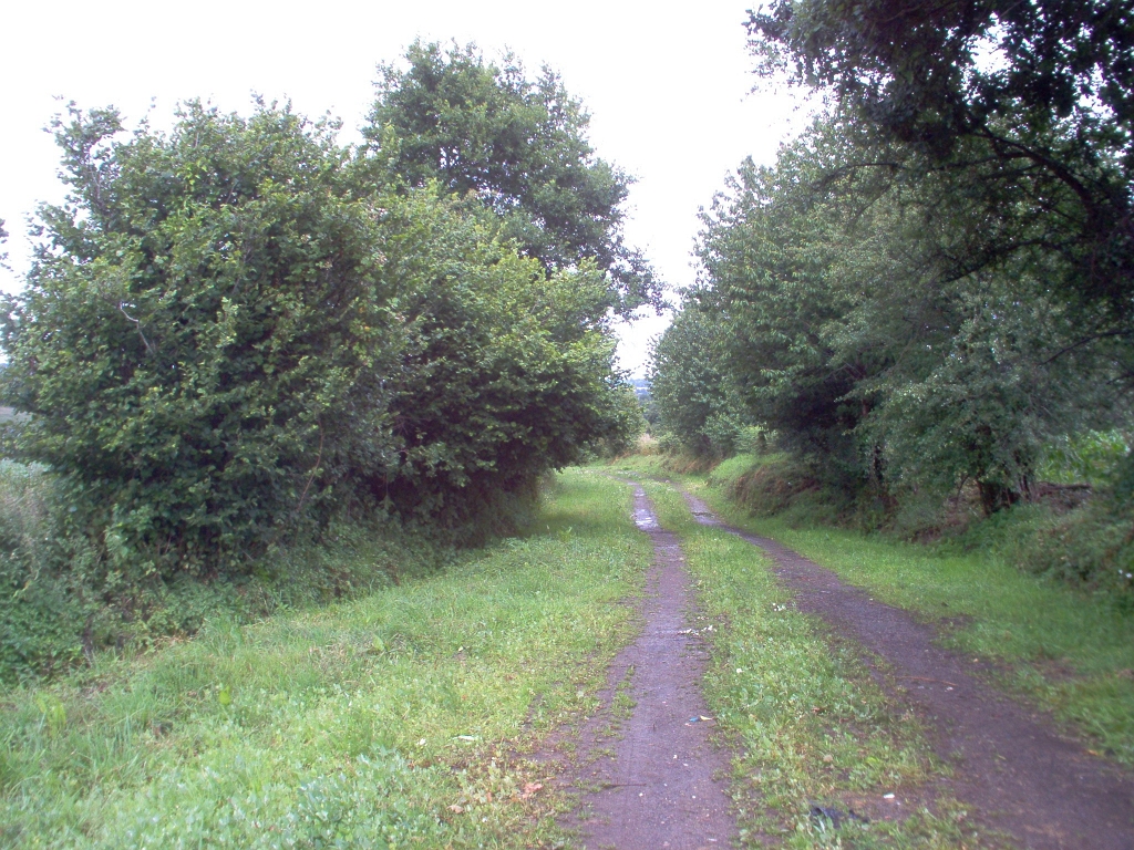20110000 LA PAVÉE Pont-Farcy 09.jpg - IM000269.JPG